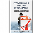 Window of Tolerance Guide